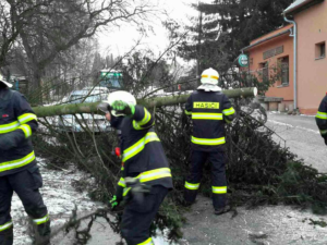 Na Liberecku bude o víkendu silný vítr. Meteorologové vydali výstrahu