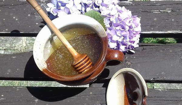 Med, svíčky, propolis i mateří kašička. Regionální výrobci jsou pilní jako včelky