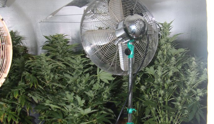 Olomoucký TOXI tým odhalil nelegální pěstírnu konopí. Muž zde měl třináct rostlin