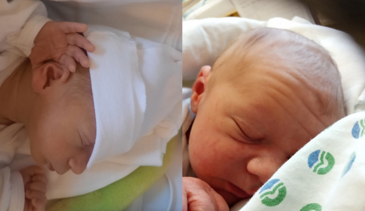 Hlasujte pro drbňátko za měsíc prosinec