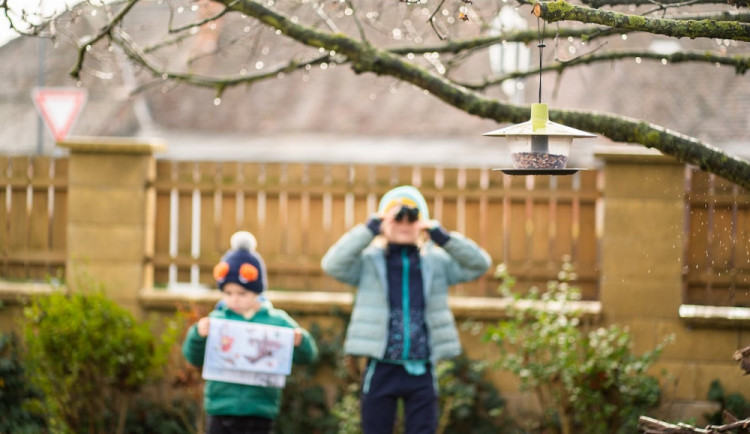 Připravte si zrní, papír a tužku. Startuje sčítání ptactva na krmítku