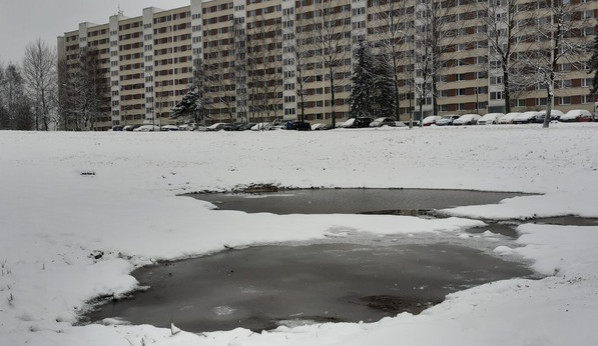 Tůně před Hokejkou. U největšího libereckého paneláku se budou rozmnožovat obojživelníci