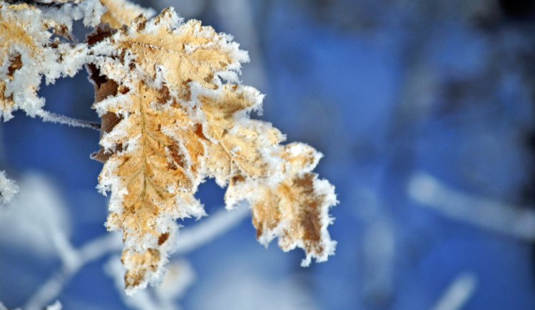 K ránu teplota v Libereckém kraji byla místy pod minus 15 stupni