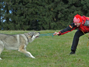 rozděláno (NE)OBYČEJNÍ: Letecký inženýr, který má v Jizerkách malou farmičku a ve volnu zachraňuje životy