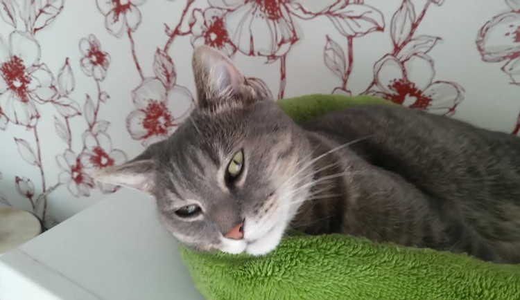 140550192_4024158697596485_7542351910733079055_n