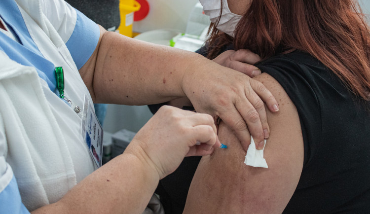 Ochota k očkování v Česku podle průzkumu stoupla, vakcínu chce 46 procent lidí
