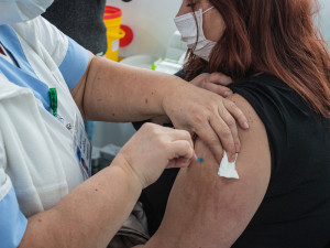 Ochota k očkování v Česku podle průzkumu stoupla, vakcínu chce 46 procent lidí