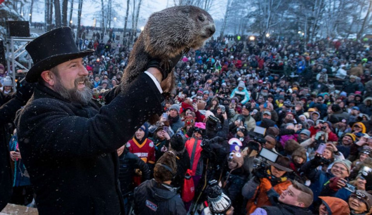 Na Hromnice u nás zapalujeme svíce, v Americe věští počasí svišť Phil