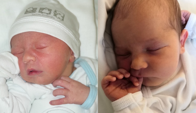 SOUTĚŽ: Hlasujte pro drbňátko za měsíc leden