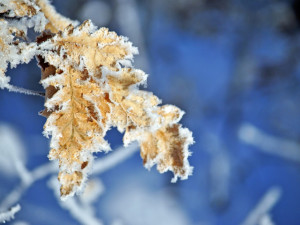 V Libereckém kraji klesly dnes ráno teploty i k minus 20 stupňům