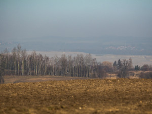 Posledních pár stromů zakrývající důl.