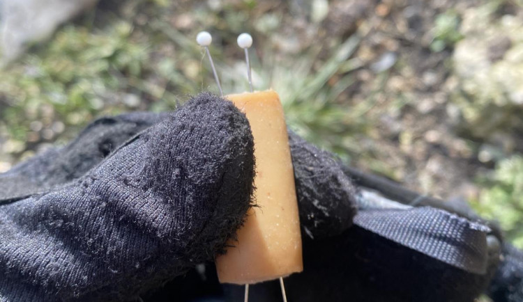 Návnady pohozené v Liberci.