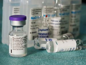 Vědci žádají vládu, aby upustila od vývoje české vakcíny