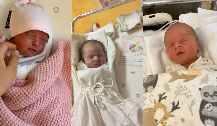 Hlasujte pro drbňátko za měsíc únor