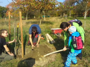 Koupit kus lesa a nic od něj nechtít. Nemusí generovat zisk, říká Anna Hudská ze ZAzemí