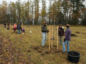 Koupit kus lesa a nic od něj nechtít. Nemusí generovat zisk, říká Anna Hudská ze ZAzemí