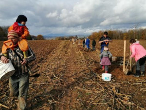Koupit kus lesa a nic od něj nechtít. Nemusí generovat zisk, říká Anna Hudská ze ZAzemí