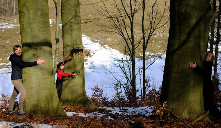 Koupit kus lesa a nic od něj nechtít. Nemusí generovat zisk, říká Anna Hudská ze ZAzemí