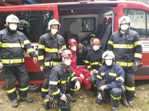 V průrvě skal uvízl pes. Ven mu pomohli až hasiči