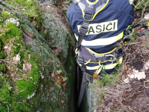 V průrvě skal uvízl pes. Ven mu pomohli až hasiči