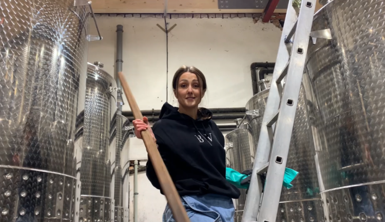 Co se skrývá za sklenkou aneb sklep(mistr) dělá víno