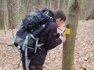 Stezku plnou QR kódů s přírodovědnými zajímavostmi najdete nově u Lesního koupaliště