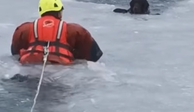 Snímek obrazovky (8)