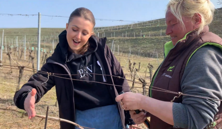 Co se skrývá za sklenkou aneb Když je víno plné slunce