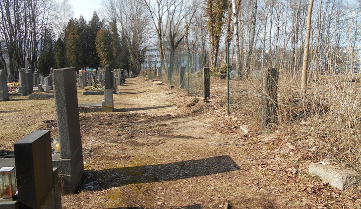 Zeleň na libereckých hřbitovech prochází obnovou. Nové stromy jsou v Machníně i Růžodole