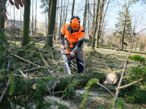 Ve frýdlantském parku muselo k zemi osmnáct stromů. Ohrožovaly návštěvníky