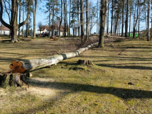 Ve frýdlantském parku muselo k zemi osmnáct stromů. Ohrožovaly návštěvníky