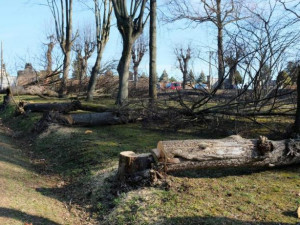 Ve frýdlantském parku muselo k zemi osmnáct stromů. Ohrožovaly návštěvníky