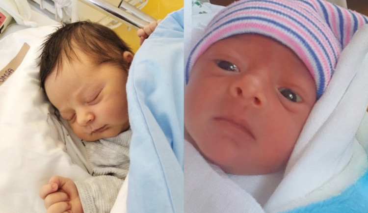 Hlasujte pro drbňátko za měsíc únor