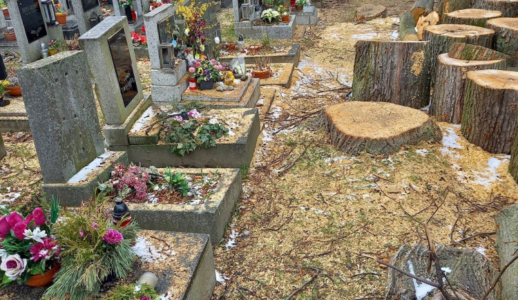 Necitlivé kácení na hřbitově v Horním Růžodole. Pryč jsou i zdravé stromy, piliny zůstaly na hrobech