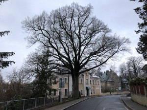 Konec sto padesáti let dlouhé historie. Hospoda Bříza definitivně zavřela