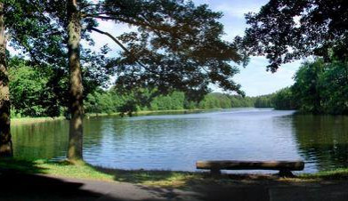 38212375_2157497201242250_6876759256742232064_n