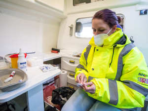 Na Fügnerce probíhalo testování na HIV. V květnu zamíří sanitka do Jablonce