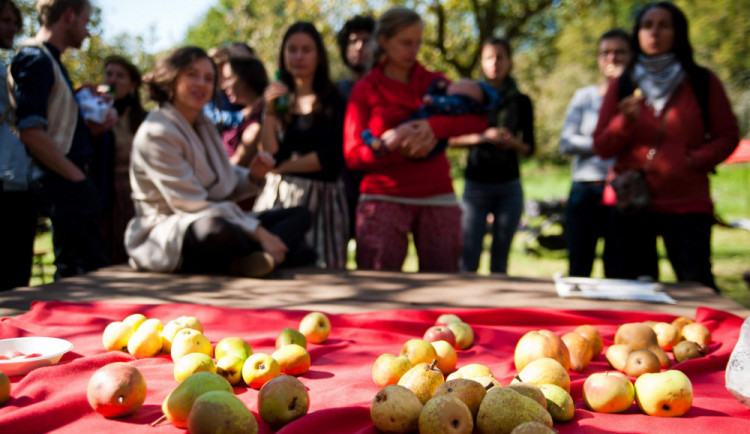 Rozkvetlou třešeň na prvomájový polibek najdete s mapou Na ovoce