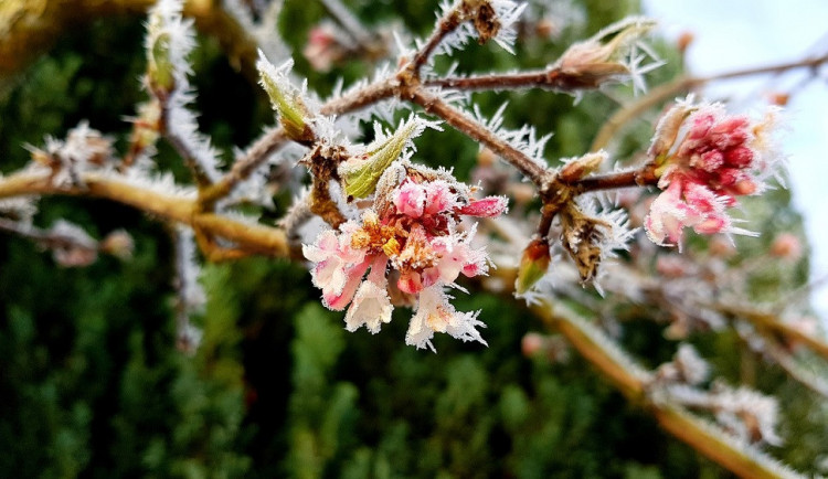 Meteorologové varují. Pozor na mráz a silný vítr