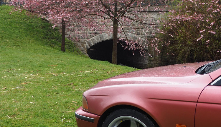 Lidé ničí městskou zeleň například parkováním na trávě