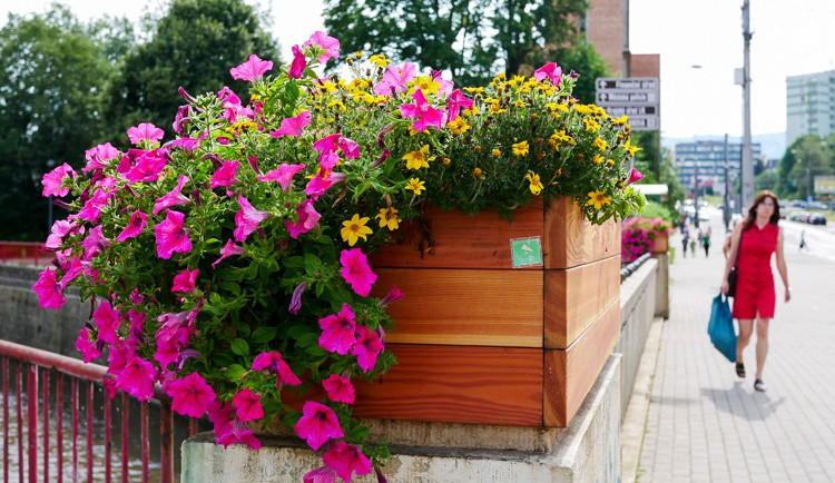 Ze zimy rovnou do léta. Teploty budou v pondělí a úterý atakovat tropickou třicítku