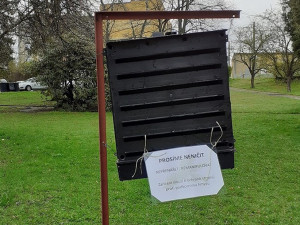 V libereckých parcích jsou rozmístěny feromonové lapače. Mají odchytávat lýkožrouty