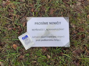 V libereckých parcích jsou rozmístěny feromonové lapače. Mají odchytávat lýkožrouty