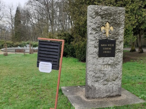 V libereckých parcích jsou rozmístěny feromonové lapače. Mají odchytávat lýkožrouty