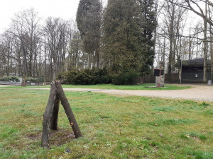 V libereckých parcích jsou rozmístěny feromonové lapače. Mají odchytávat lýkožrouty