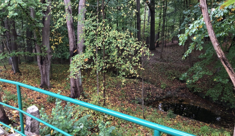 Město nechá zrevitalizovat park ve Fibichově ulici. Vzniknou i tůně