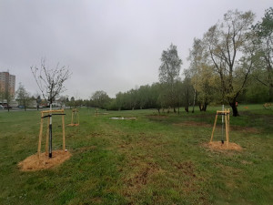 Nové tůně, stromy i trvalky. Louka za Hokejkou se proměnila