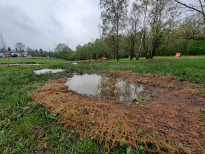 Nové tůně, stromy i trvalky. Louka za Hokejkou se proměnila