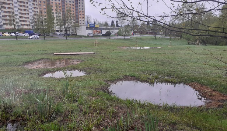 Nové tůně, stromy i trvalky. Louka za Hokejkou se proměnila