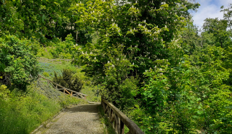 Kam o víkendu? Vyrazte s námi do Zahrady Kinských